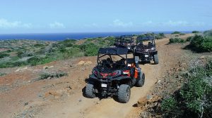Aruba Tours & Excursions | Aruba Adventure Tours | arubaadventuretours.com